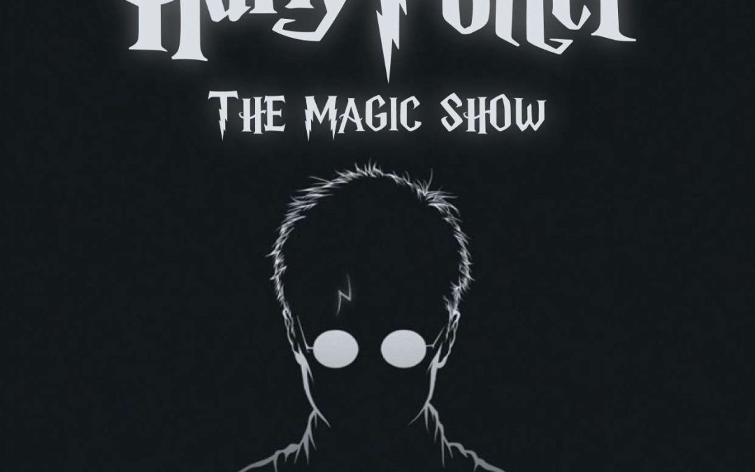 ‘The Magic Show’ – Harry Potter
